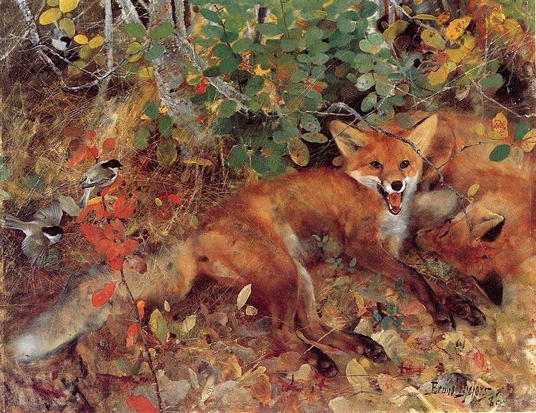 bruno liljefors Foxes Spain oil painting art
